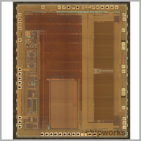 Main Processor