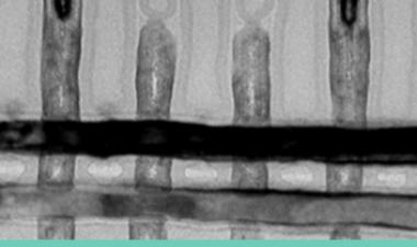  Webinar: ALD/ALE Process in Commercially Available Logic Devices